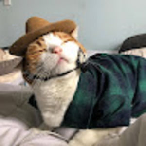 Meet your Posher, Frank